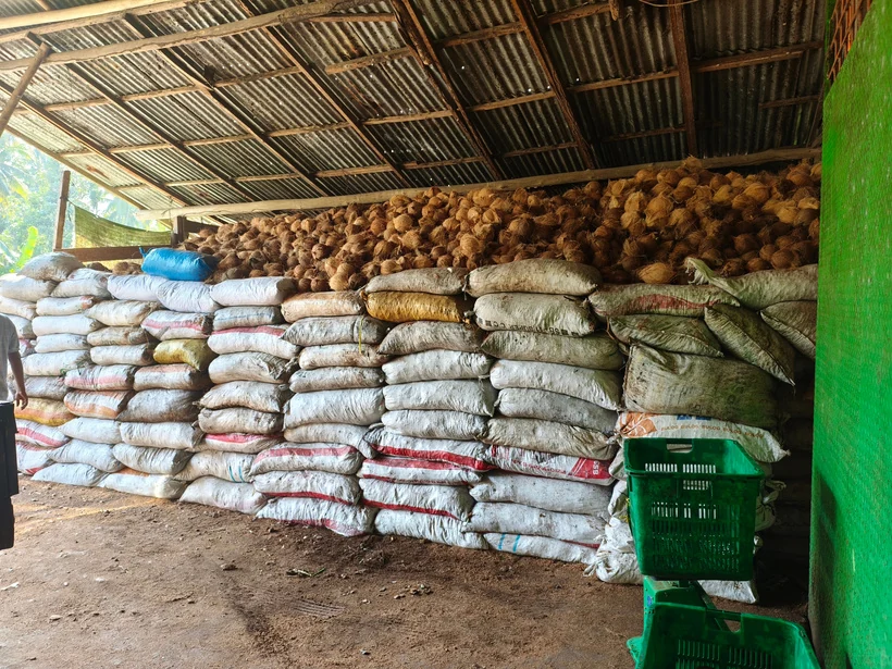 Bags of coconuts stacked inside a warehouse